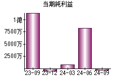 当期純利益