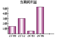 当期純利益