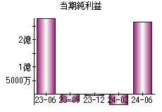 当期純利益