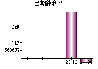 当期純利益