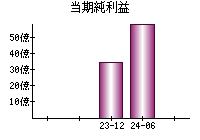 当期純利益