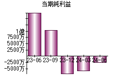 当期純利益