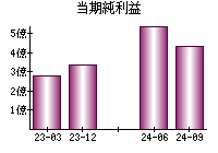 当期純利益