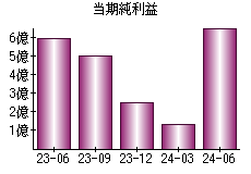 当期純利益