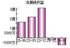 当期純利益