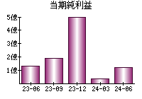 当期純利益