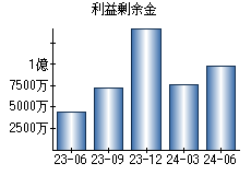 利益剰余金