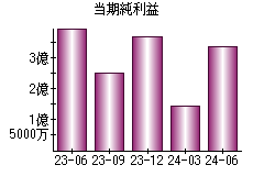 当期純利益