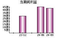 当期純利益