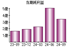 当期純利益