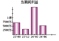 当期純利益