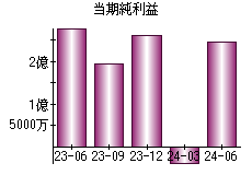 当期純利益