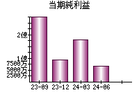 当期純利益