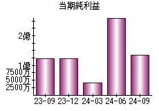 当期純利益