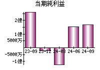 当期純利益