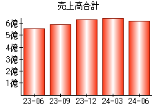 売上高合計