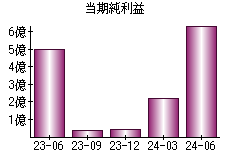 当期純利益