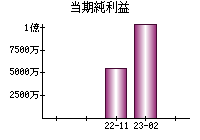 当期純利益