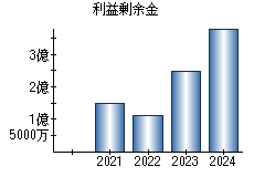 利益剰余金