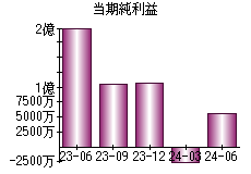 当期純利益