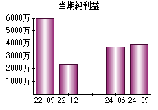 当期純利益