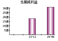 当期純利益