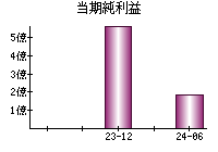 当期純利益