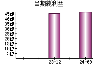 当期純利益