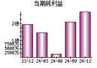 当期純利益