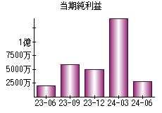 当期純利益