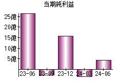 当期純利益