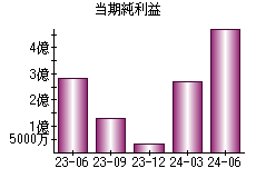 当期純利益