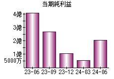 当期純利益