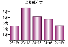 当期純利益