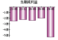 当期純利益