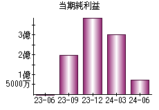 当期純利益