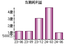 当期純利益