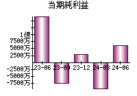 当期純利益