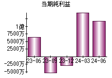 当期純利益