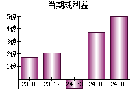 当期純利益