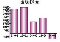 当期純利益