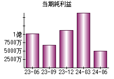 当期純利益