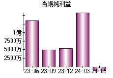 当期純利益