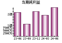 当期純利益