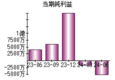 当期純利益