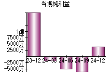 当期純利益