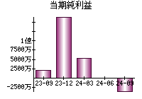 当期純利益