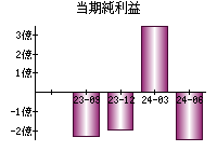 当期純利益