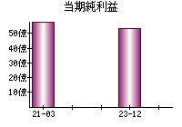 当期純利益