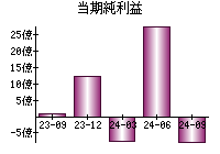 当期純利益